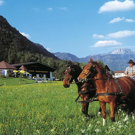 Aigner * Erpfendorf